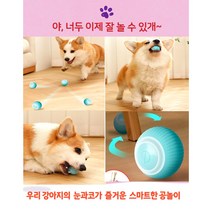 러브독 스마트 장난감 볼 강아지 장난감, 블루