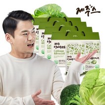 제주스 new 제주 양배추 브로콜리 진액 30포 x 4박스 (총 120포), 4개, 3000ml