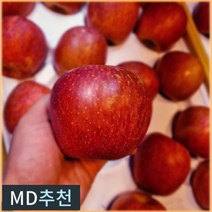 [15brix 이상] 청송사과 경북 프리미엄 청송 꿀사과 당도선별 고당도 정품, 당도보장 청송사과 10KG특품(30~40과)