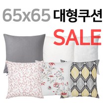 이케아 뢰드빙카/헤슬레클로카/헤스트피블라/우르술라/65x65/대형쿠션커버/이케아 쿠션커버 65x65, 05 FJADRAR 503.727.76