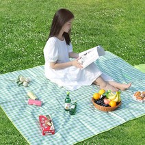 로니 한강 돗자리 두꺼운 감성피크닉매트, 단품