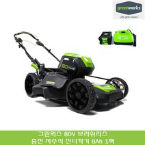 그린웍스 80V 충전식 자주식 잔디깍기 제초기 베어툴 2.5Ah 5Ah 8Ah 배터리 1팩 2팩 충전 잔디깍는 기계 전기 무선 잔디깎기, 선택06_80V 자주식 잔디깍기 8Ah 1팩, 2개