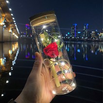 프렌치로즈 시들지않는꽃 LED유리병 편지지 세트, 레드프리저브드플라워