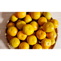 2023년 첫수확 태추단감 2kg 중대과 배단감 태추감 단감 태추단감 가을제철 햇단감 고당도 산지직송 선물세트 배감 얇은껍질, 2kg(중대과)