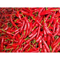 깨끗하게 씻어 건조한 건고추(2021년 수확) / 경남 고성 / 농업인 직접 판매 (철이네 농장) / 햇고추, 6kg(10근) 꼭지 제거 태양초