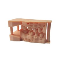 Jamache 치과 모델 수지 교정 3d 프린터 385nm 405nm 용 빠른 경화, [01] skin restoration