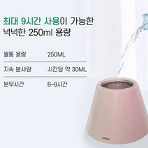 쿨샵 H10 미니가습기 저소음 설계 USB 가습기 250ml, 쿠팡 본상품선택