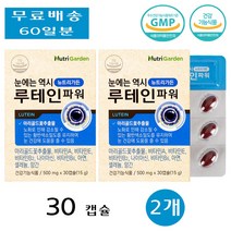 뉴트리가든 아이 눈 에좋은 청소년 루테인 루테린 뉴테인 루태린 뉴테린 파워 30캡슐 2개