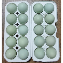 청란 난각번호1번 산지직송 자연방목 청란 청계란 유정란 식용란 [20란 30란 40란] 동애등에 강황 법제유황 게르마늄 황토 계피분말 코코넛분말 무백신 무항생제 무살충제, 20개, 1400g