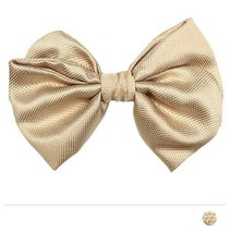 와이드 골드 보타이