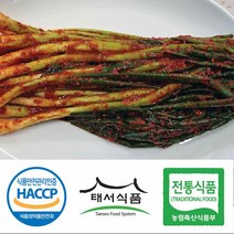 태서식품 태백고원 파김치, 3kg, 1개