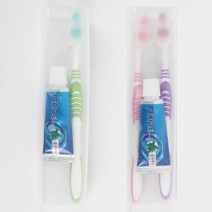 웰하임 LG페리오 휴대용 칫솔치약세트 20g 케이스형, 1p