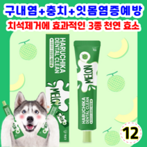 펫생각 하루치카 덴탈크린 치약 메론향 맛 강아지 치석 구취 구내염 제거 메론향 맛, 12개