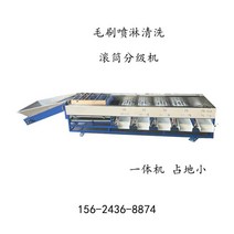 감선별기 감자 분류기 자두 분리기 자동 조절