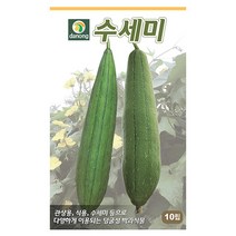 백경채 1500립 백경채씨앗 백경채씨 청경채 쌈채소 샐러드 야채씨 야채씨앗 채소씨 채소씨앗, 14_다농_수세미(10립)