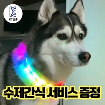 강아지 LED 목걸이 무지개 목줄 팬던트 펜던트 인싸목걸이 넥밴드 방울 밤산책 야간산책 소형견 중형견 대형견 반려견 애견 산책 용품, 수량
