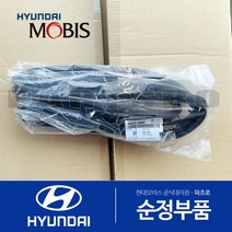 뒷문짝 웨더스트립(고무몰딩) 운전석쪽 (831303X000) 아반떼MD 현대모비스 부품몰