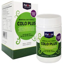 뉴질랜드 파이오라 콜로플러스 산양유 산양 초유 프로틴 단백질 락토페린 COLOSTRUM 츄어블 300타블렛, 츄어블 300타블렛 1통