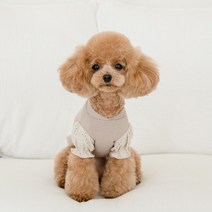 [갤러리아] 꼴레트멍멍스윗 퍼프 강아지맨투맨 마이리틀독, 핑크