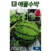 다농 애플수박 5립
