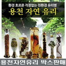 [그레이트북스]놀라운자연 총102종 최신간 새책, 그레이트북스(전집)