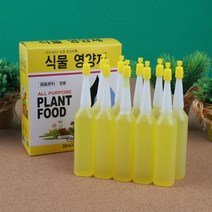 식물 성장발육 촉진 영양공급 앰플 농업용품 인테리어화분 꽃영양제, 10P