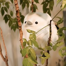 주올로지 오목눈이 쿠션인형 동물애착인형, 50cm