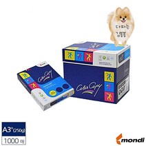 전문가용 A3보다 큰 컬러 레이저 프린터 인쇄 전용지 305X457 250G 1000매