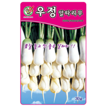 제일 우정알타리무(가을종자) 씨앗 30g, 1개