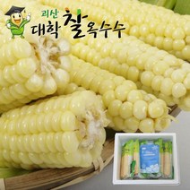 냉동 옥수수/초당/대학찰 2가지, 냉동 괴산대학찰옥수수 선물용 최상품15개
