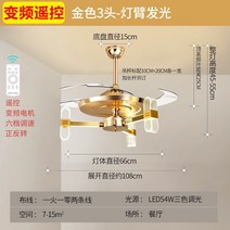 실링팬 천장형 선풍기 램프 팬북유럽 거실 식당 보이지 않 가정용 홀 샹들리에 2022 68, 매직 링 골드 3 헤드 - 3 톤 조명 + 주파수