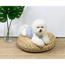 푸들 비숑 블루그레이색 강아지 민소매 옷 맨투맨 올인원 치와와옷 강아지후리스 잉글리쉬불독 홈웨어 외출, L