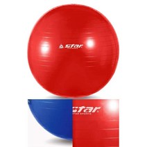 마사지 짐볼 65cm 임산부 짐볼 운동법 보수볼 밸런스 발란스 요가 필라테스 짐볼사이즈 65cm, 파랑