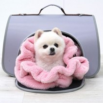 패리스독 따뜻한멀티워머(아이보리 핑크 그레이) 반려동물겨울워머, 아이보리
