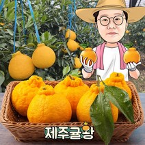 귤왕 농장 직배송 제주 하우스 노지 한라봉 2kg 3kg 5kg 10kg 가정용 명절 설 선물세트, 00.한라봉 가정 혼합과9kg 랜덤특가