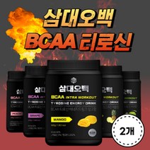 [삼대오백] BCAA 에너지 드링크 500g X2통 헬스 티로신 운동음료 5가지맛, 사과X2개