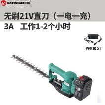 가지치기전기톱 절단기 야외 고지톱 가정용 조경, A. 21V 스트레이트 3A 리튬 배터리 1개