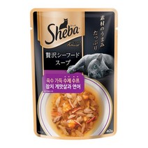 쉬바 수제수프 참치 게맛살과 연어 파우치 40g