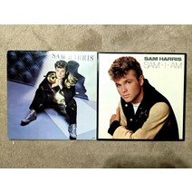 중고LP 2 SAM HARRIS 레코드판 앨범 LP Self Titled & Sam I Am Over the Rainbow상태좋음