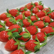 지리산 산청 설향 딸기 하우스 신지식농업인 500g 1kg, 설향딸기500g