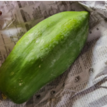 그린 파파야 생파파야 그린파파야 800g-1kg 랜덤사이즈 쏨땀재료 쏨땀 쏨담 랜덤 사이즈 Papaya Green papaya greenpapaya SomTom, 800~1kg(1~2개 내외) 사이즈마다 달라요
