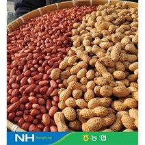 맛군 [대성농협]전남 고창군 국산땅콩300g~, 생알땅콩1kg