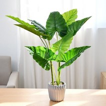 인테리어조화 나무 인조 조화장식 화분 엑 등 몬스테라 6090cm 야수 백화점 관악점, 60cm c withpot