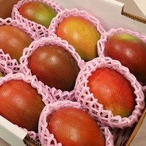 프리미엄 애플망고 태국망고 선물세트 2kg 4kg 망고명절선물 명절망고선물세트 항공직송, 망고2종선물세트 6과 (애플망고3 태국망고3)