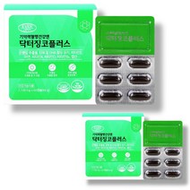 혈액순환제 혈행개선 징코플러스 60캡슐 뇌 기억력에좋은음식 은행잎 효능, [1+1특별할인]_4개월분