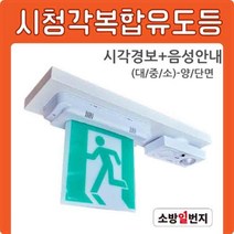 시청각복합유도등 비상구 피난구 음성안내음 시각경보기 소방일번지, 양면