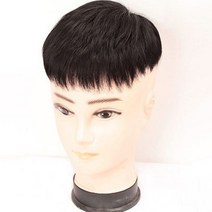 남자 전체 가발, 토벤스타일, 1개