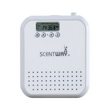 동력 살분무기 300m3 아로마 디퓨저 150ml 배터리 전원 지능형 향기 Hotle 사무실 룸 오일 분무기, 01 Black_01 미국