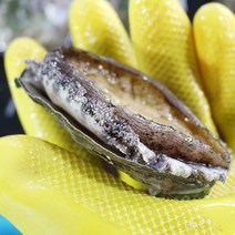 두팜 3~4년산 완도 대전복 1kg (11~13마리 내외), 12미 전복 1kg(선물포장)