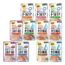 아이시아 건강캔파우치 40g x 12개 고양이 간식, 1개, 오랄케어 참치 후레이크(젤리타입)
